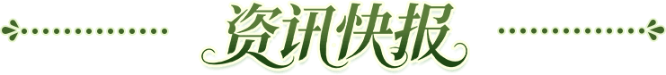 资讯快报